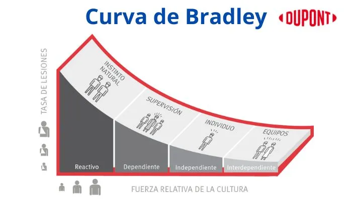 Curva de Bradley de Dupont